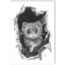 Load image into Gallery viewer, “Antechinus” Fine Art Print
