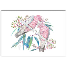 Load image into Gallery viewer, &quot;Galahs” Fine Art Print

