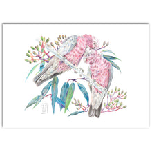 Load image into Gallery viewer, "Galahs” Fine Art Print