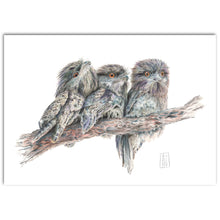 Load image into Gallery viewer, “Tawny Frogmouth Family” Fine Art Print
