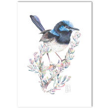 Load image into Gallery viewer, “Superb Fairy Wren” Fine Art Print