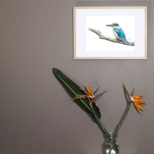 Load image into Gallery viewer, “Kingfisher” Fine Art Print

