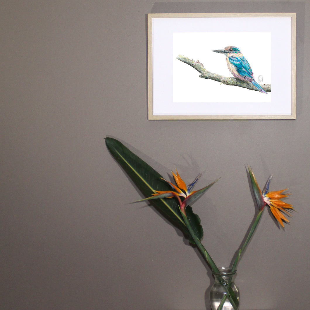 “Kingfisher” Fine Art Print