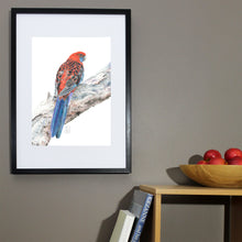 Load image into Gallery viewer, &quot;Crimson Rosella” Fine Art Print
