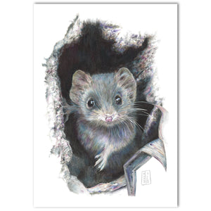 “Antechinus” Fine Art Print