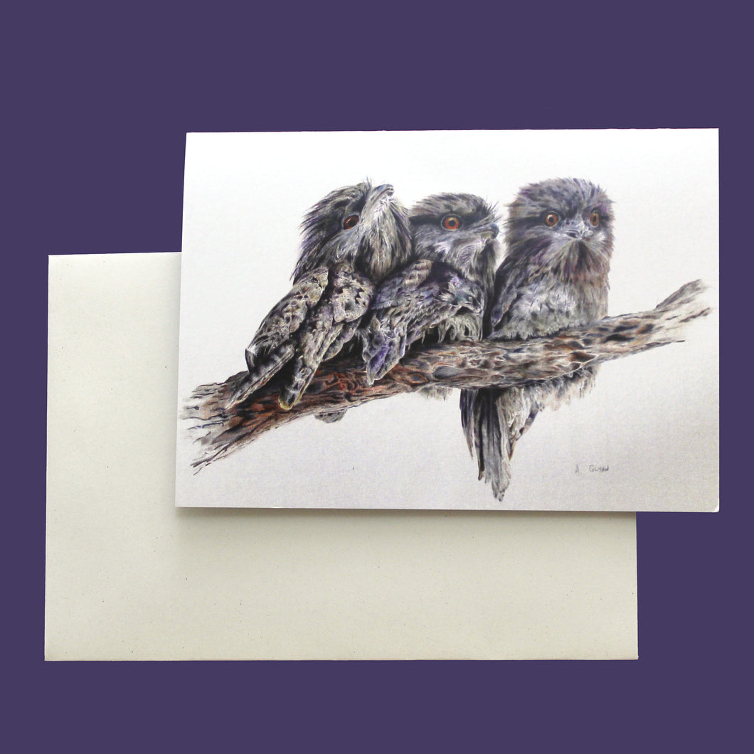 Tawny Frogmouth Greeting Card